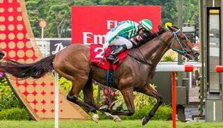 Singapore Horse of the Year Infantry (NZ) winning the Singapore Derby.